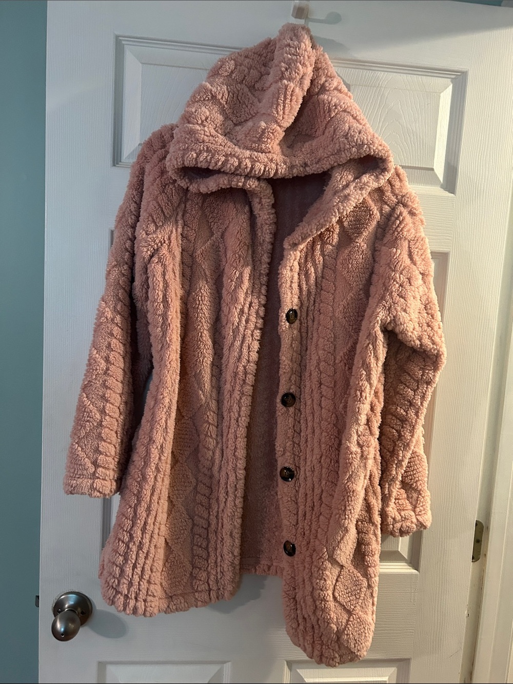 Cozy Hooded Teddy Jacket in Dusty Pink